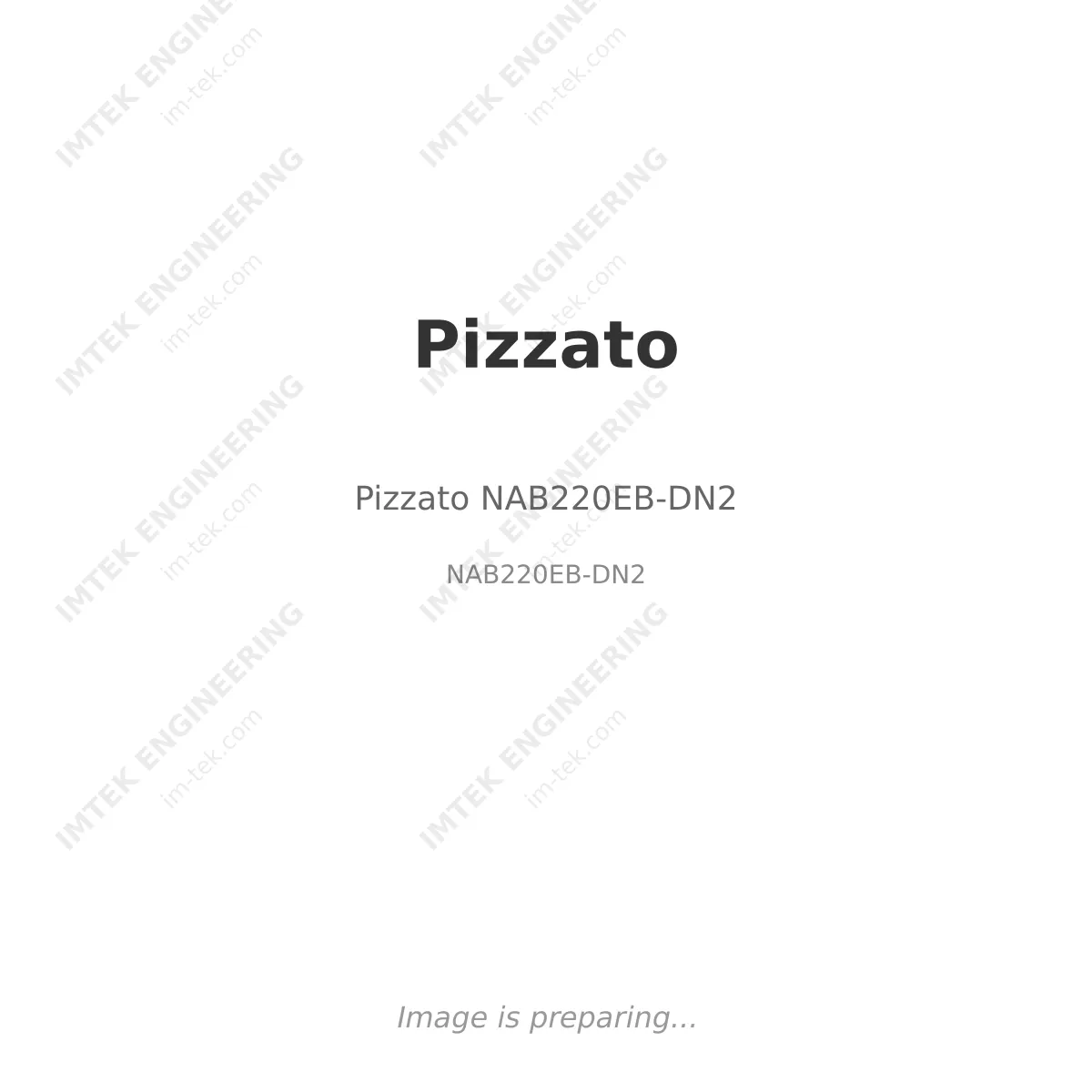 Pizzato Pizzato NAB220EB-DN2 - NAB220EB-DN2