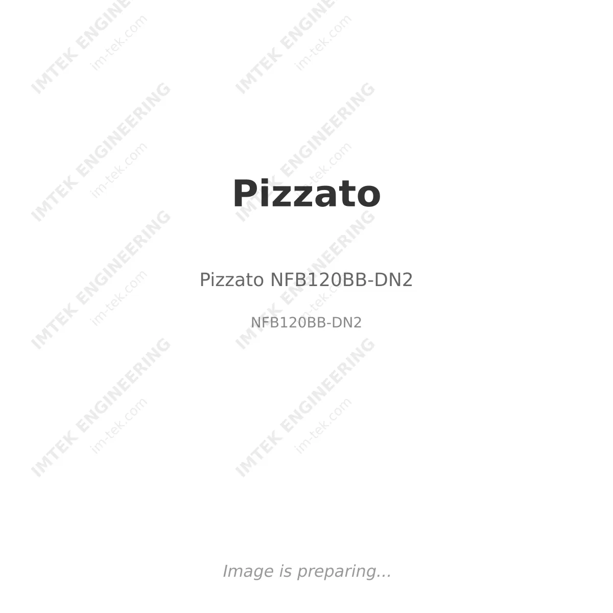 Pizzato Pizzato NFB120BB-DN2 - NFB120BB-DN2