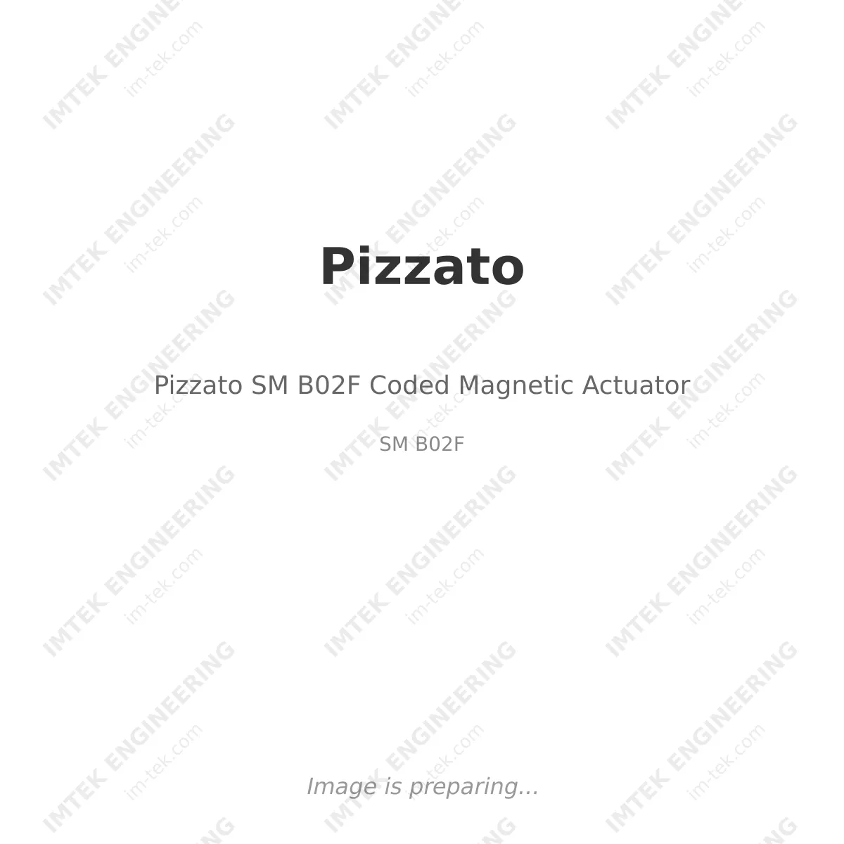 Pizzato Pizzato SM B02F Coded Magnetic Actuator - SM B02F