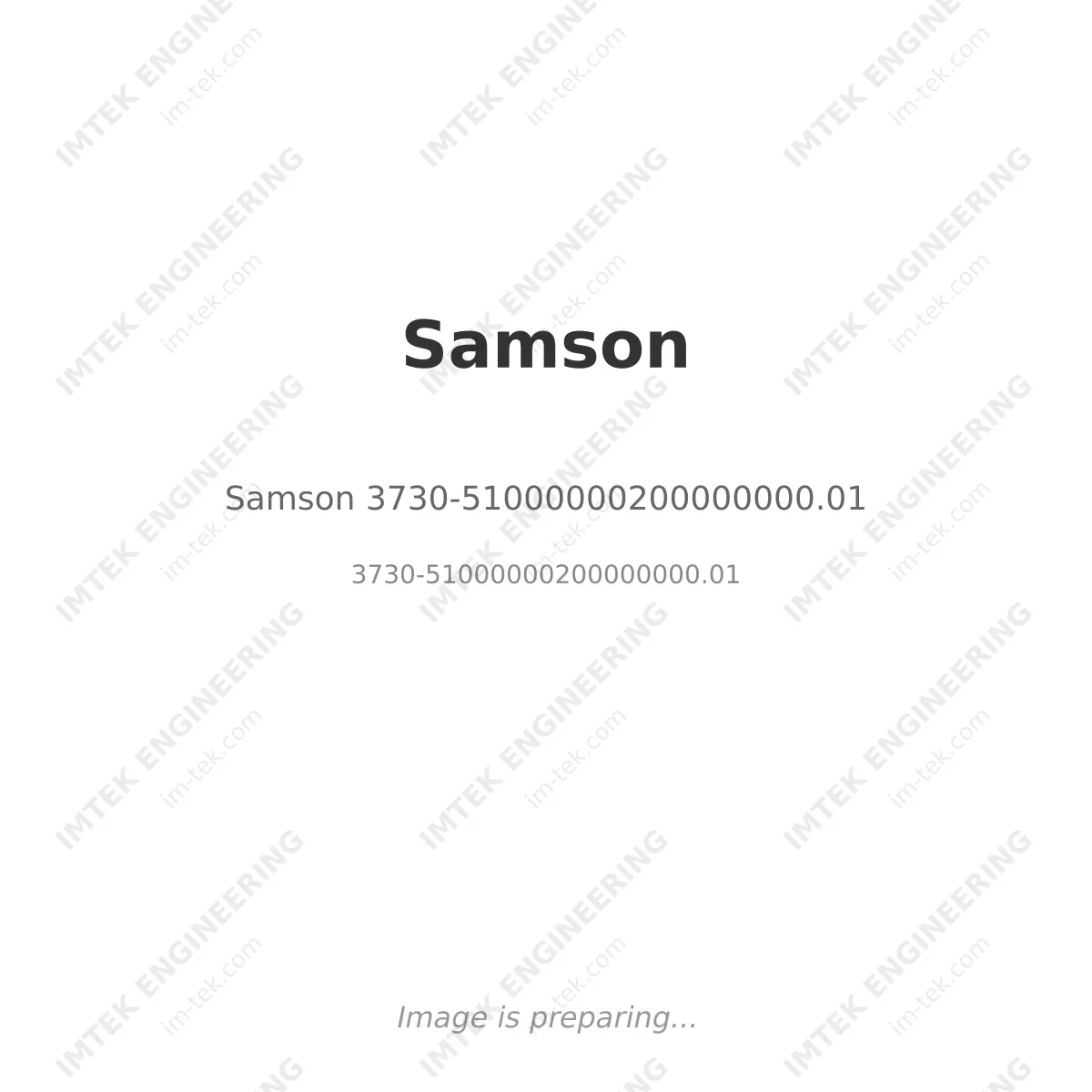 Samson Samson 3730-51000000200000000.01 - 3730-51000000200000000.01