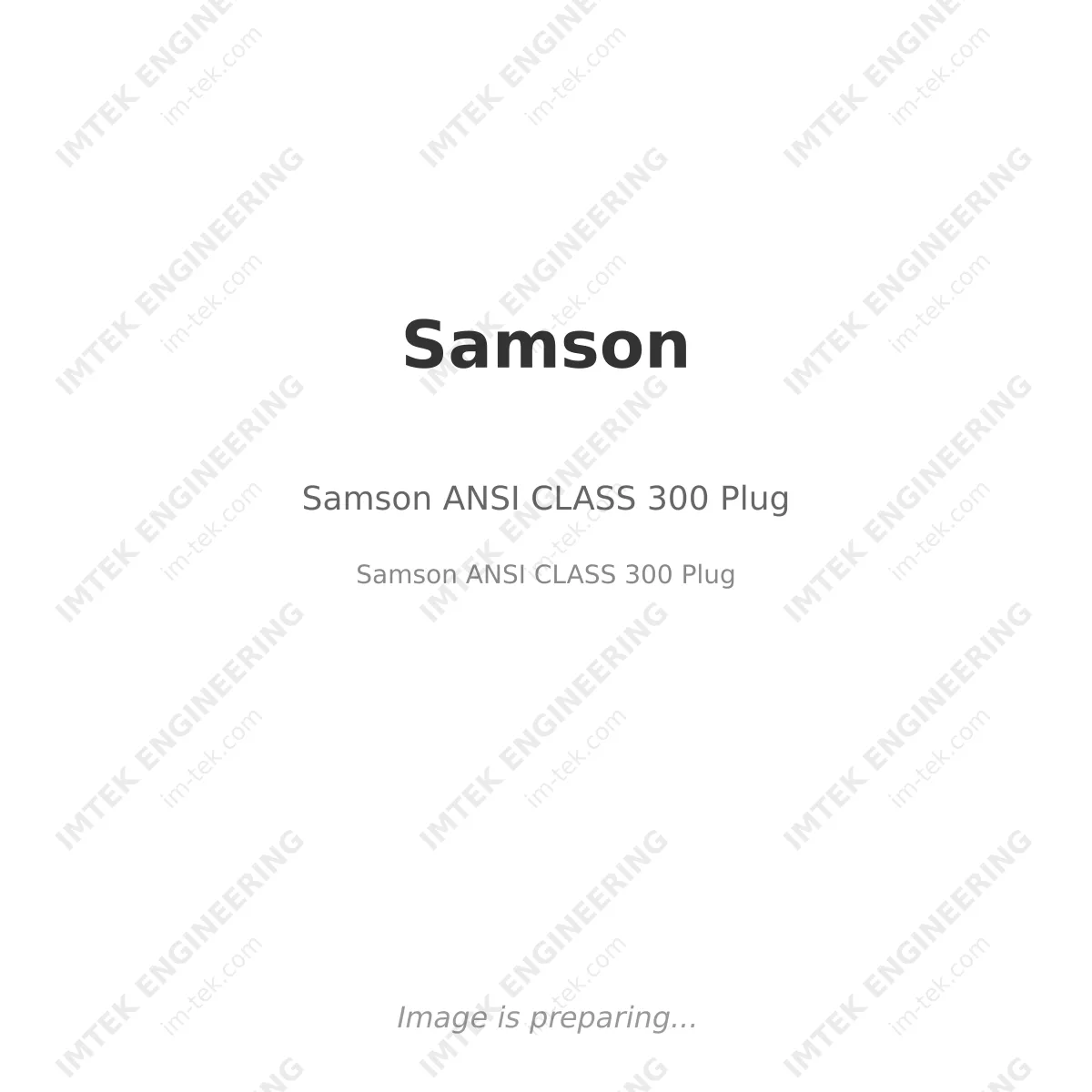 Samson Samson ANSI CLASS 300 Plug - Samson ANSI CLASS 300 Plug