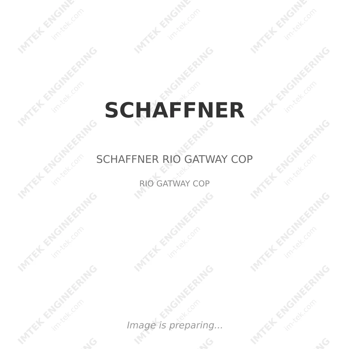 SCHAFFNER SCHAFFNER RIO GATWAY COP - RIO GATWAY COP