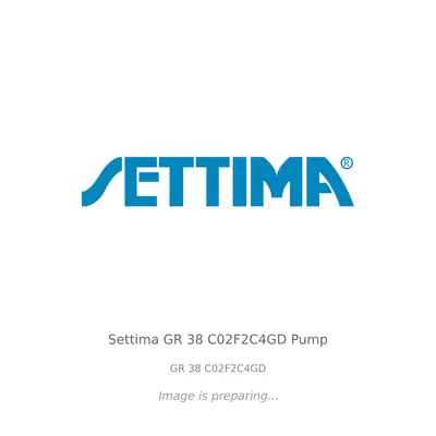 Settima Settima GR 38 C02F2C4GD Pump - GR 38 C02F2C4GD