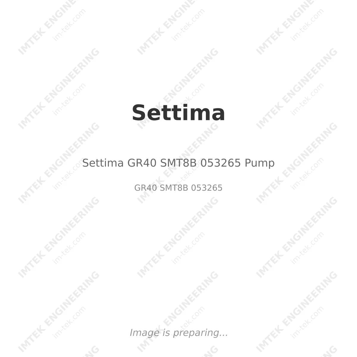 Settima Settima GR40 SMT8B 053265 Pump - GR40 SMT8B 053265