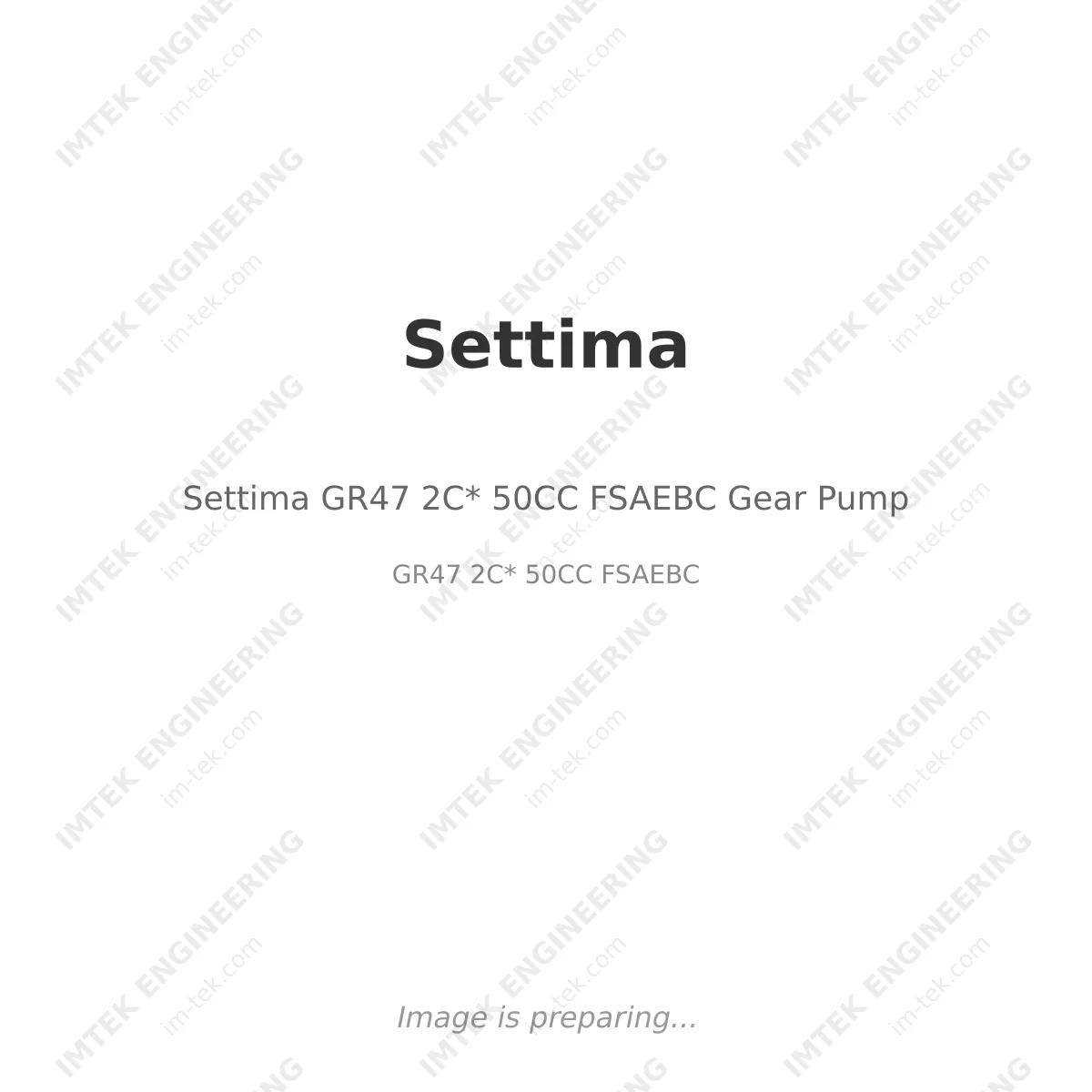 Settima Settima GR47 2C* 50CC FSAEBC Gear Pump - GR47 2C* 50CC FSAEBC