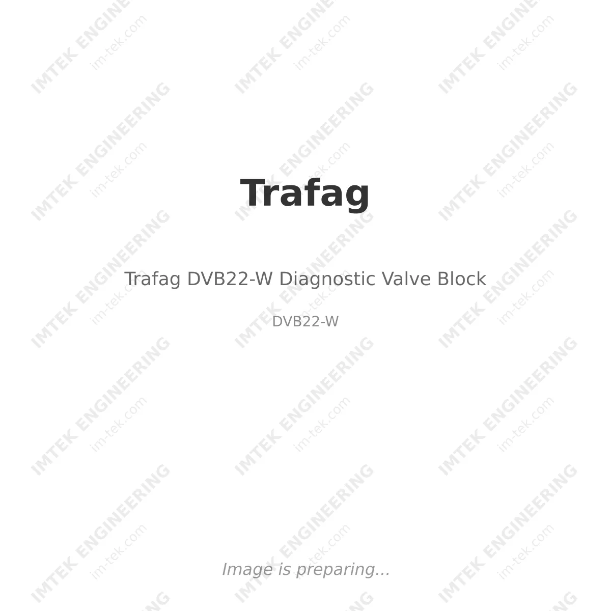 Trafag Trafag DVB22-W Diagnostic Valve Block - DVB22-W