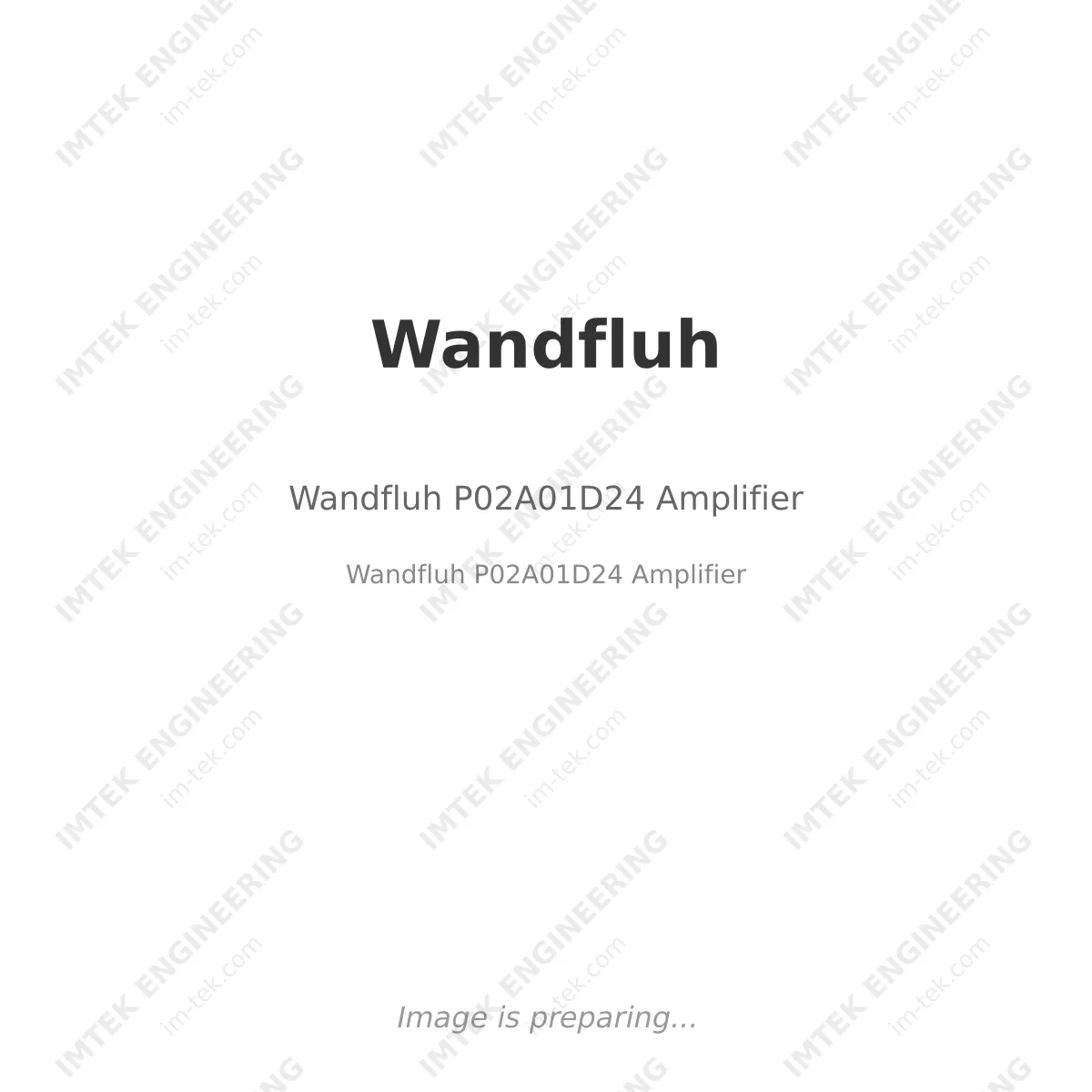 Wandfluh Wandfluh P02A01D24 Amplifier - Wandfluh P02A01D24 Amplifier